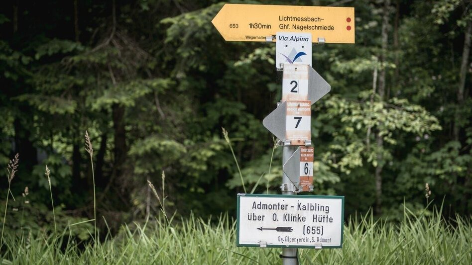 Wanderung Etappe 01  Admont – Mödlingerhütte, Gesäuse Hüttenrunde  - Touren-Impression #2.4 | © TV Gesäuse