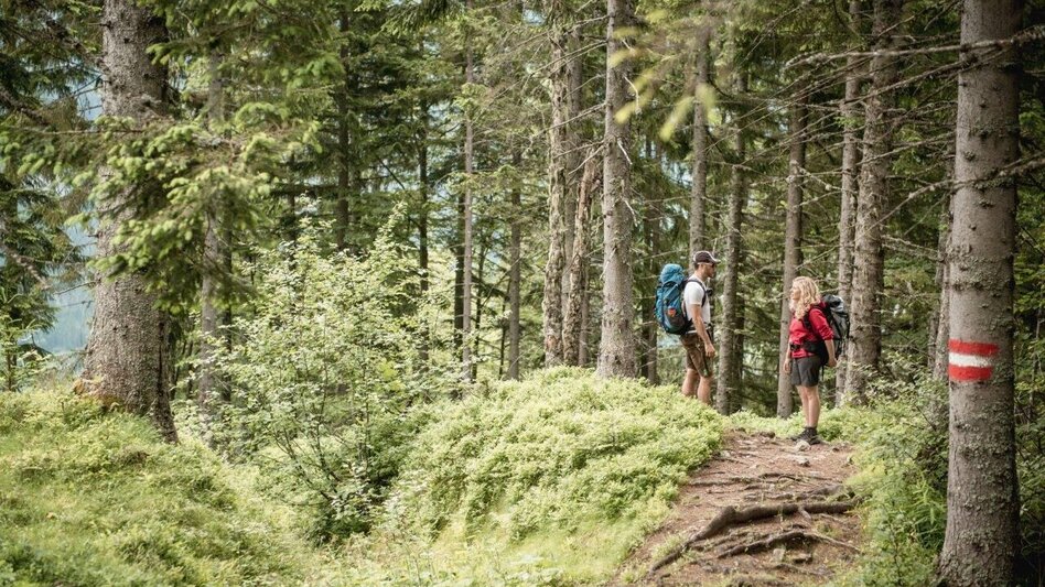 Mehrtagestouren Etappe 02 Mödlingerhütte – Hesshütte, Gesäuse Hüttenrunde - Touren-Impression #2.3 | © TV Gesäuse