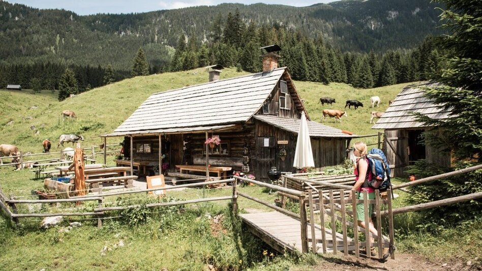 Wanderung Etappe 04 Ennstalerhütte - Buchsteinhaus, Gesäuse Hüttenrunde  - Touren-Impression #2.4 | © TV Gesäuse
