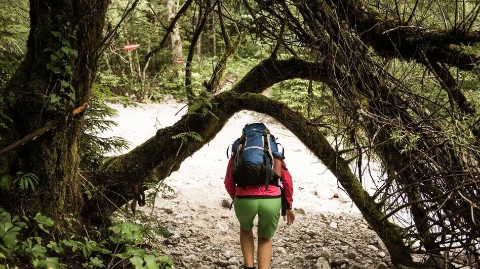 Wanderung Etappe 04 Ennstalerhütte - Buchsteinhaus, Gesäuse Hüttenrunde  - Touren-Impression #2.6 | © TV Gesäuse