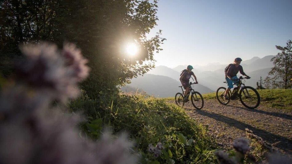 Mountainbike Über Almen in die Steiermark - Touren-Impression #2.3 | © TV Gesäuse