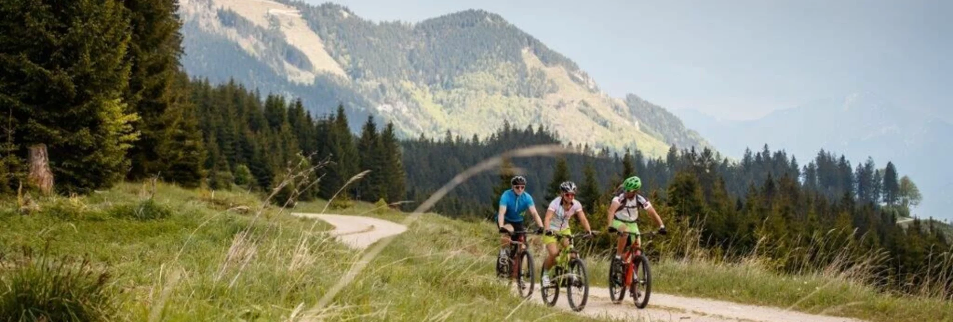 Mountain Biking Auf den Spuren der Waldbahn - Touren-Impression #1 | © TV Gesäuse