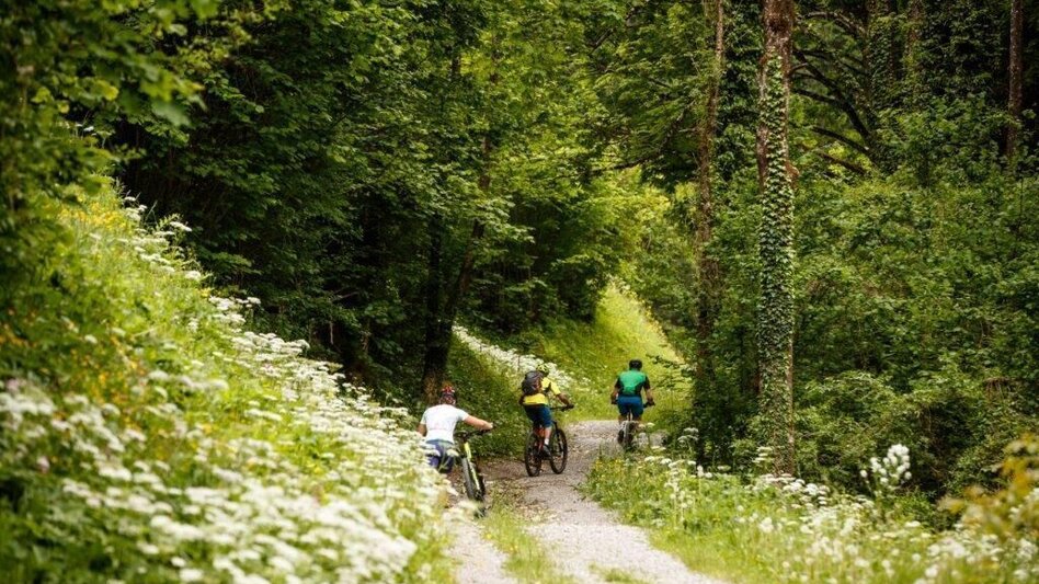 Mountainbike Vom Ennstal ins Steyrtal - Touren-Impression #2.1 | © TV Gesäuse