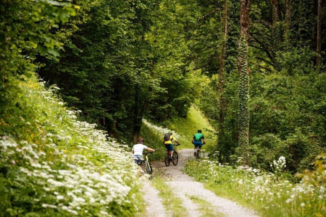 Mountainbike Vom Ennstal ins Steyrtal - Touren-Impression #1 | © TV Gesäuse