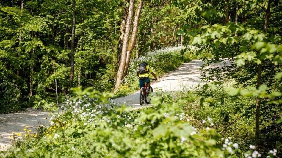 Mountainbike Vom Ennstal ins Steyrtal - Touren-Impression #2.4 | © TV Gesäuse