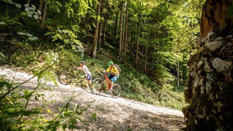 Mountainbike Vom Ennstal ins Steyrtal - Touren-Impression #2.5 | © TV Gesäuse