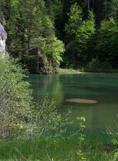 Der Stausee im Naturpark Mürzer Oberland | © TV Hochsteiermark | Daniela Paul | © TV Hochsteiermark