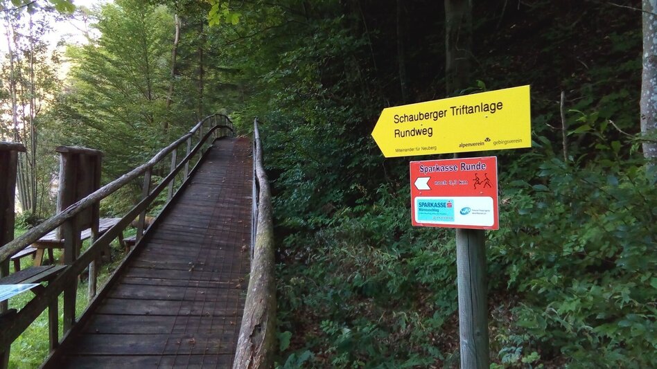 Themed Nature Trail The Schauberger Triftanlage Circular Trail - Touren-Impression #2.3 | © TV Hochsteiermark