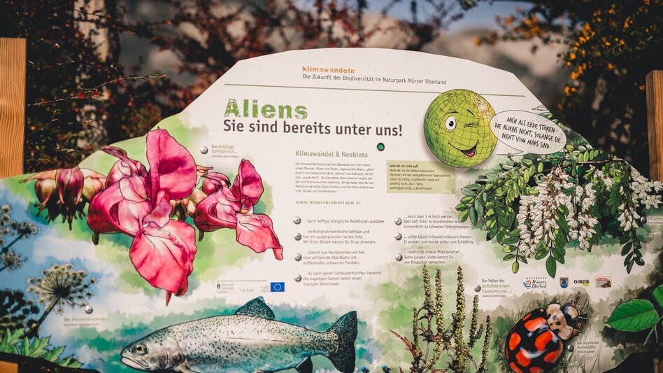 Familienwanderwege Der Erlebnisweg "klimawandeln" im Naturpark Mürzer Oberland - Touren-Impression #2.7 | © TV Hochsteiermark