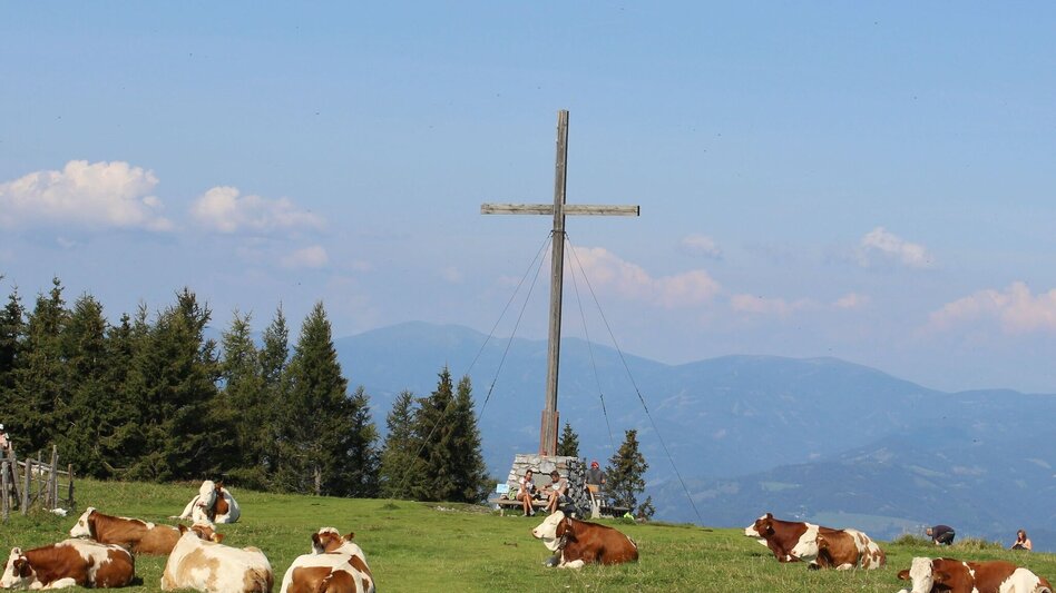 Hiking Route 1. Etappe: Path of the 100.000 steps, Arzberg - Schöckl - Touren-Impression #2.1 | © Oststeiermark Tourismus