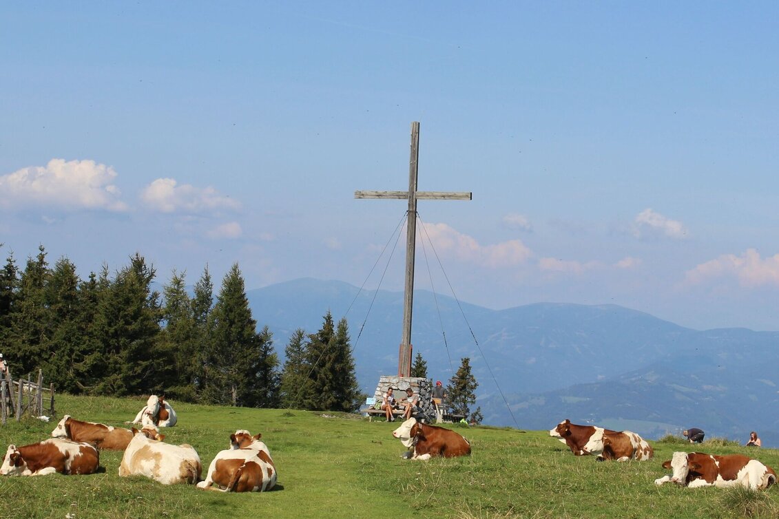 Hiking Route 1. Etappe: Path of the 100.000 steps, Arzberg - Schöckl - Touren-Impression #1 | © Oststeiermark Tourismus