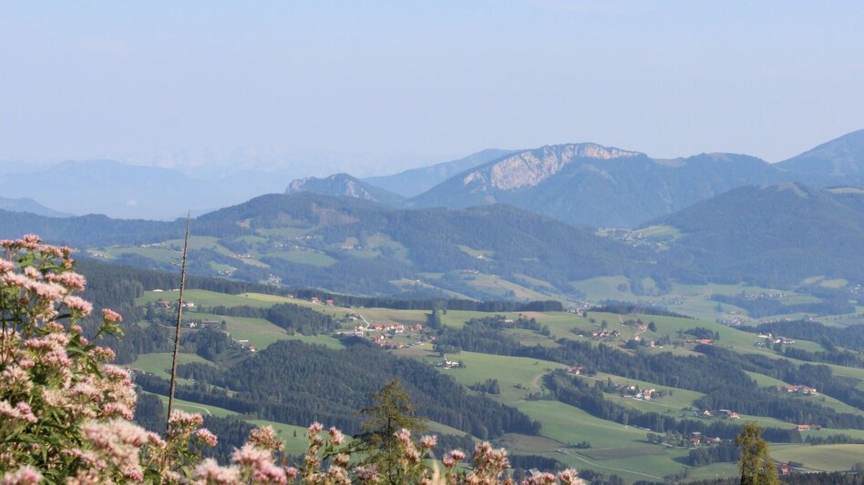 Hiking Route 1. Etappe: Path of the 100.000 steps, Arzberg - Schöckl - Touren-Impression #2.8 | © Oststeiermark Tourismus
