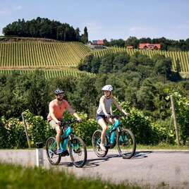 weinstraßenausfahrt - panoramaradweg-südsteirische weinstraße_img_37125300 | © Südsteiermark