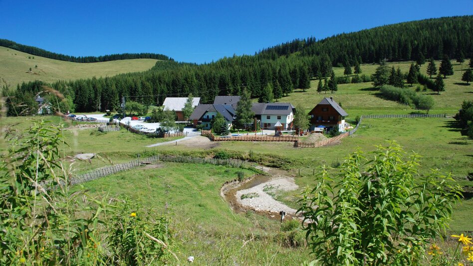 Hiking Route 3. Stage: Path of the 100.000 steps, Nechnitz - Sommeralm - Touren-Impression #2.16 | © Oststeiermark Tourismus