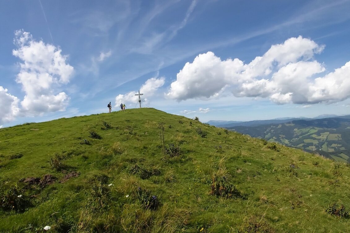 Hiking Route Stage 4: Trail of 100,000 steps, Sommeralm - St. Kathrein - Touren-Impression #1 | © Oststeiermark Tourismus