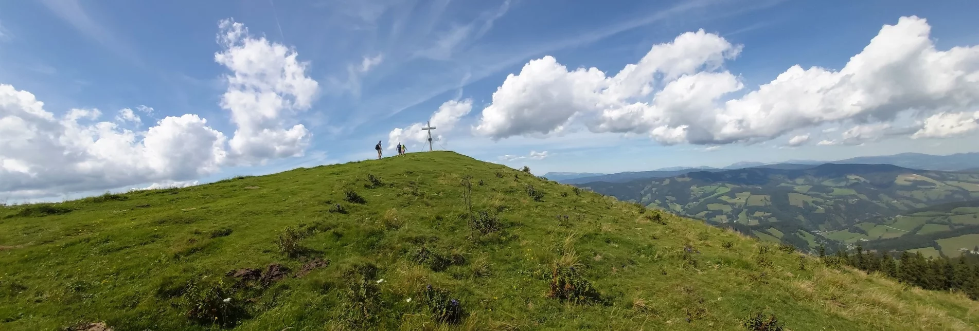 Wanderung 4. Etappe: Weg der 100.000 Schritte, Sommeralm - St. Kathrein - Touren-Impression #1 | © Oststeiermark Tourismus