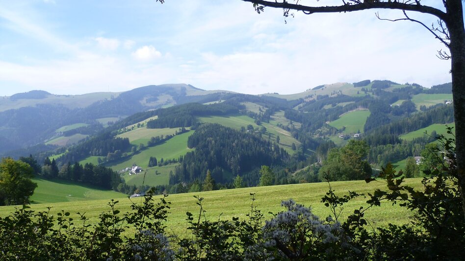 Hiking Route Stage 4: Trail of 100,000 steps, Sommeralm - St. Kathrein - Touren-Impression #2.12 | © Oststeiermark Tourismus