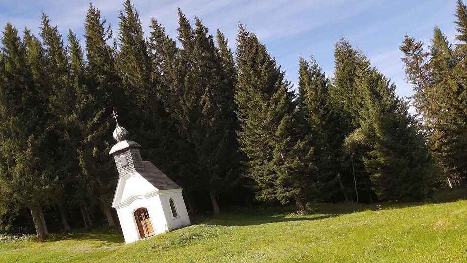 Hiking Route Stage 4: Trail of 100,000 steps, Sommeralm - St. Kathrein - Touren-Impression #2.3 | © Oststeiermark Tourismus