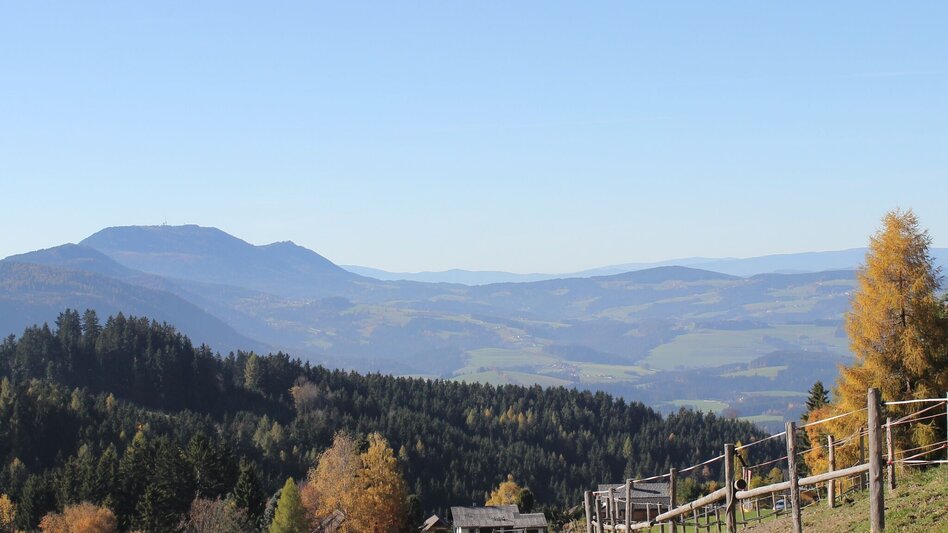 Wanderung 5. Etappe: Weg der 100.000 Schritte, St. Kathrein - Weizklamm - Touren-Impression #2.13 | © Oststeiermark Tourismus