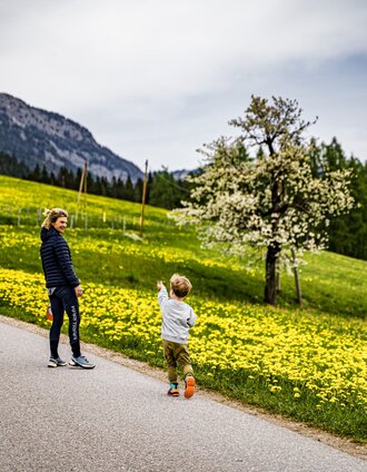 Hike on the Birnberg-Rundweg | Gerhard Pilz | © Gerhard Pilz