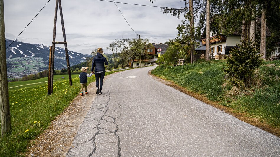 Hiking Route Birnberg circular walking path - Touren-Impression #2.3 | © Gerhard Pilz
