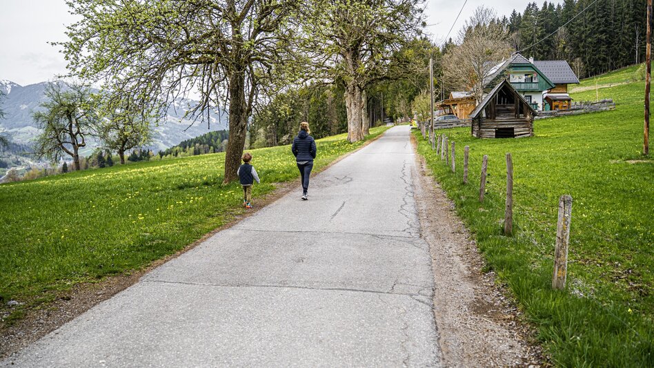 Hiking Route Birnberg circular walking path - Touren-Impression #2.4 | © Gerhard Pilz