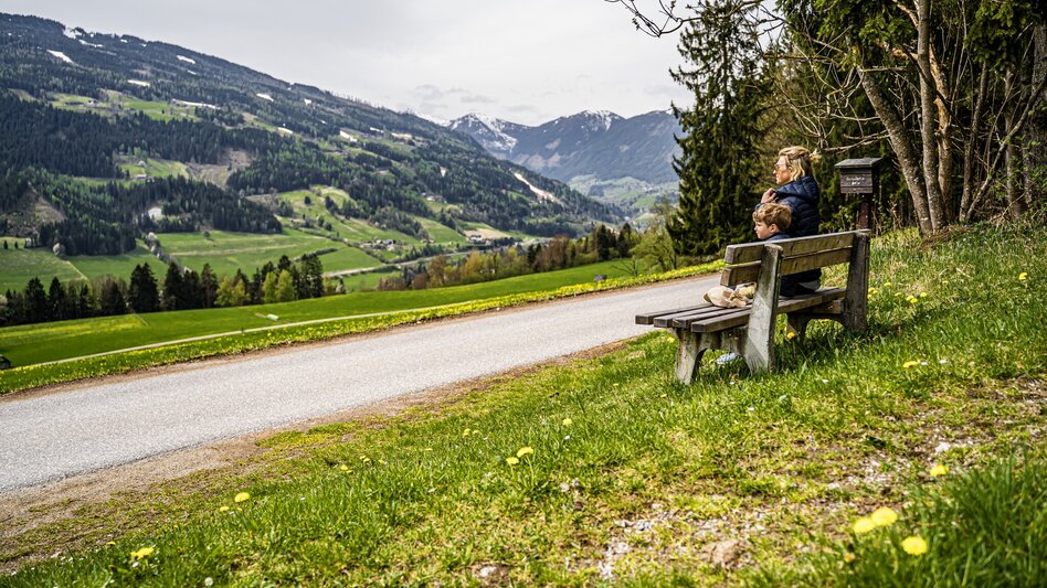 Hiking Route Birnberg circular walking path - Touren-Impression #2.5 | © Gerhard Pilz