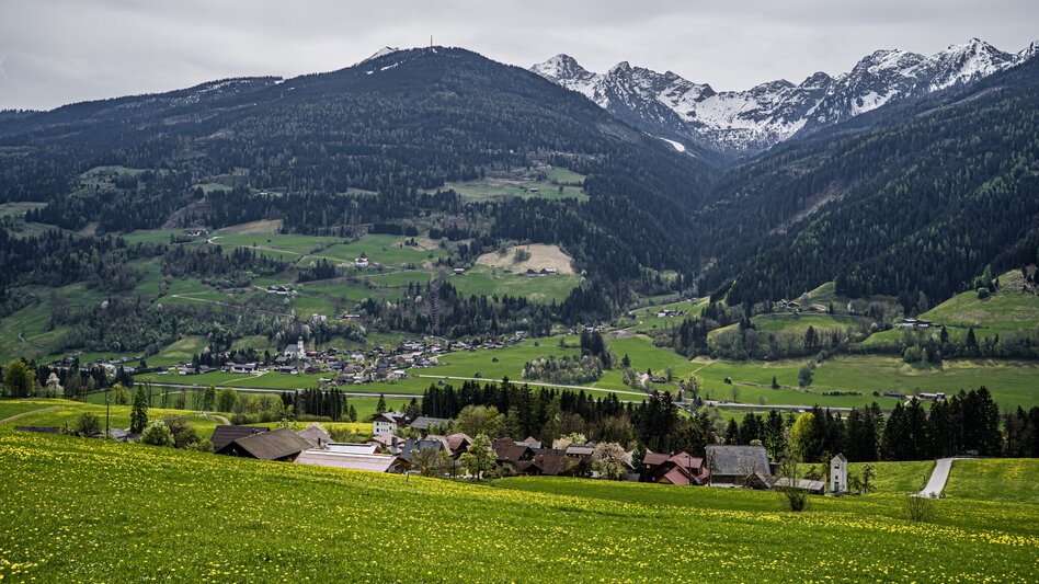 Hiking Route Birnberg circular walking path - Touren-Impression #2.6 | © Gerhard Pilz