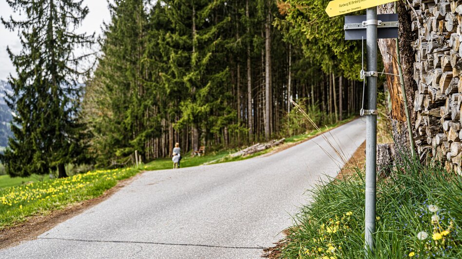 Hiking Route Birnberg circular walking path - Touren-Impression #2.7 | © Gerhard Pilz