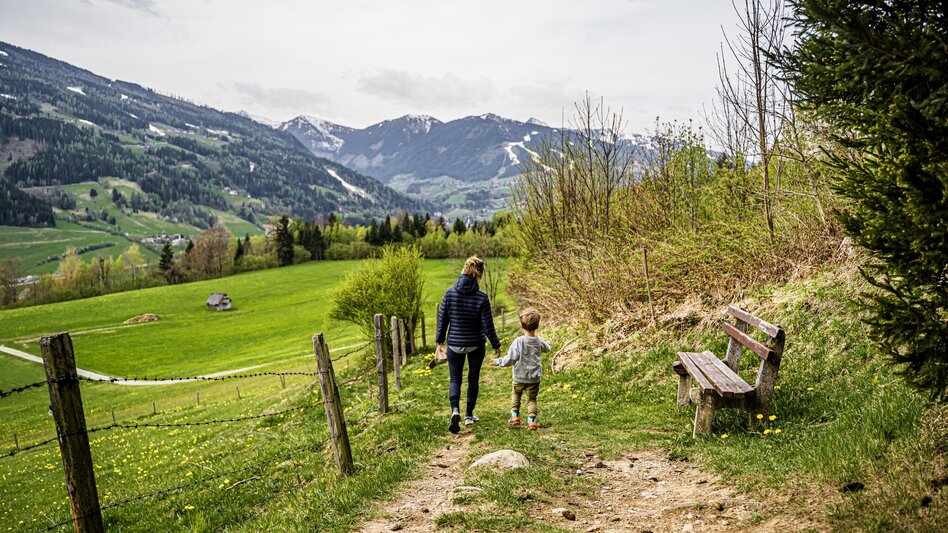 Hiking Route Birnberg circular walking path - Touren-Impression #2.8 | © Gerhard Pilz