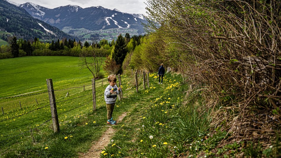 Hiking Route Birnberg circular walking path - Touren-Impression #2.9 | © Gerhard Pilz