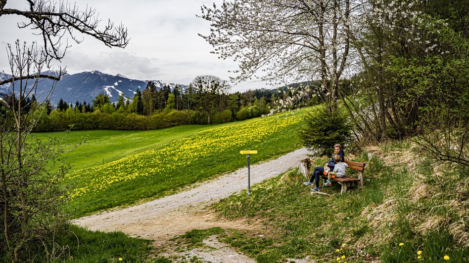Hiking Route Birnberg circular walking path - Touren-Impression #2.10 | © Gerhard Pilz
