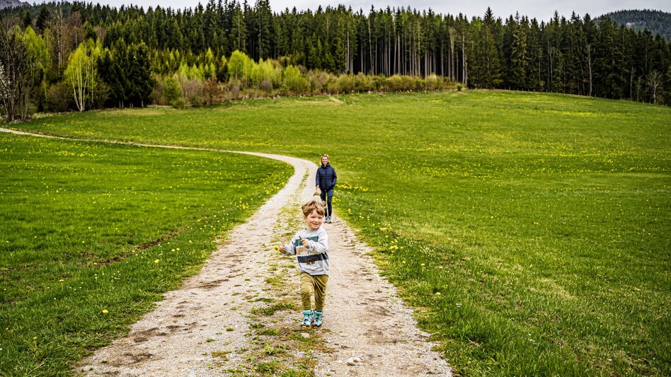 Hiking Route Birnberg circular walking path - Touren-Impression #2.11 | © Gerhard Pilz