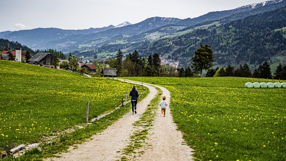 Hiking Route Birnberg circular walking path - Touren-Impression #2.12 | © Gerhard Pilz