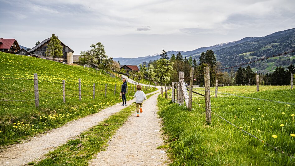 Hiking Route Birnberg circular walking path - Touren-Impression #2.13 | © Gerhard Pilz