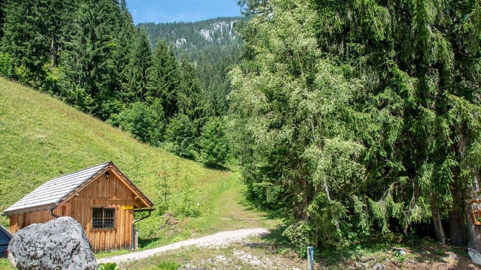 Themed Nature Trail Copper Path Johnsbach - Touren-Impression #2.3 | © TV Gesäuse
