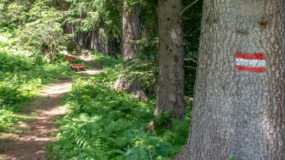 Themed Nature Trail Copper Path Johnsbach - Touren-Impression #2.5 | © TV Gesäuse