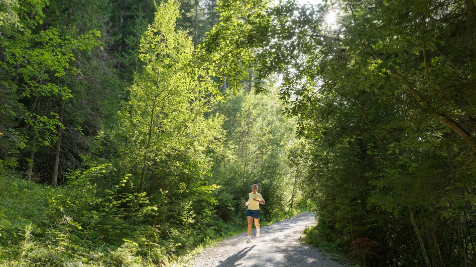 Trailrunning Kulmbergtrail (Nr. 5) - Touren-Impression #2.15 | © Erlebnisregion Schladming-Dachstein