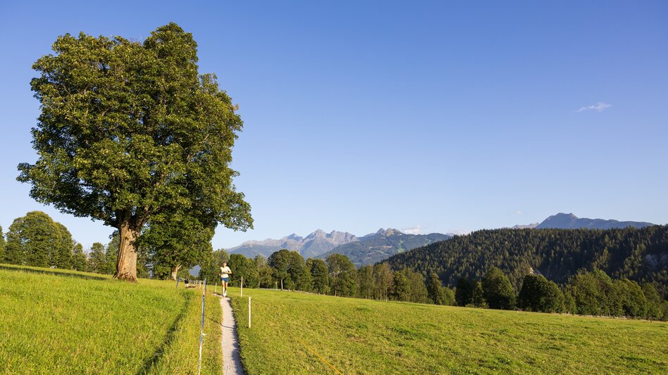 Trailrunning Frühlingstrail (Nr. 4) - Touren-Impression #2.7 | © Erlebnisregion Schladming-Dachstein