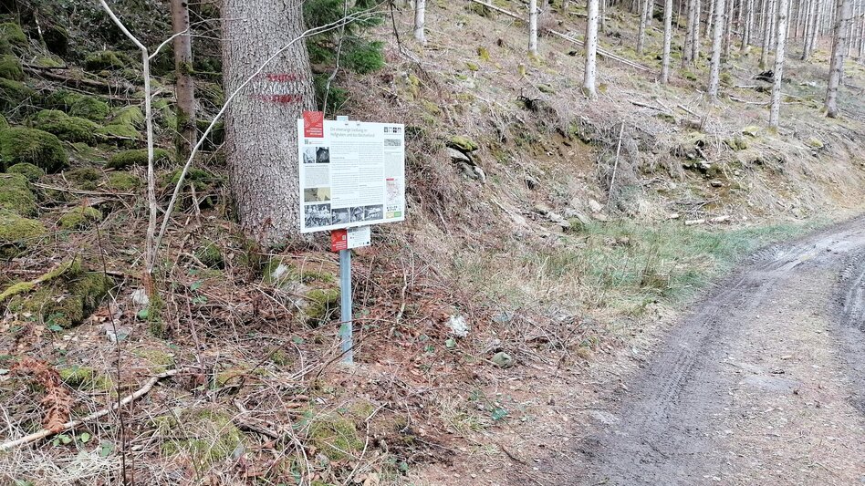 Themed Nature Trail HWW-Hiking route: Mönichkirchen - Schaueregg/Fichtenhof - Koglreith - Friedberg - Touren-Impression #2.3 | © Historischer Verein Wechselland - Dr. Andreas Salmhofer