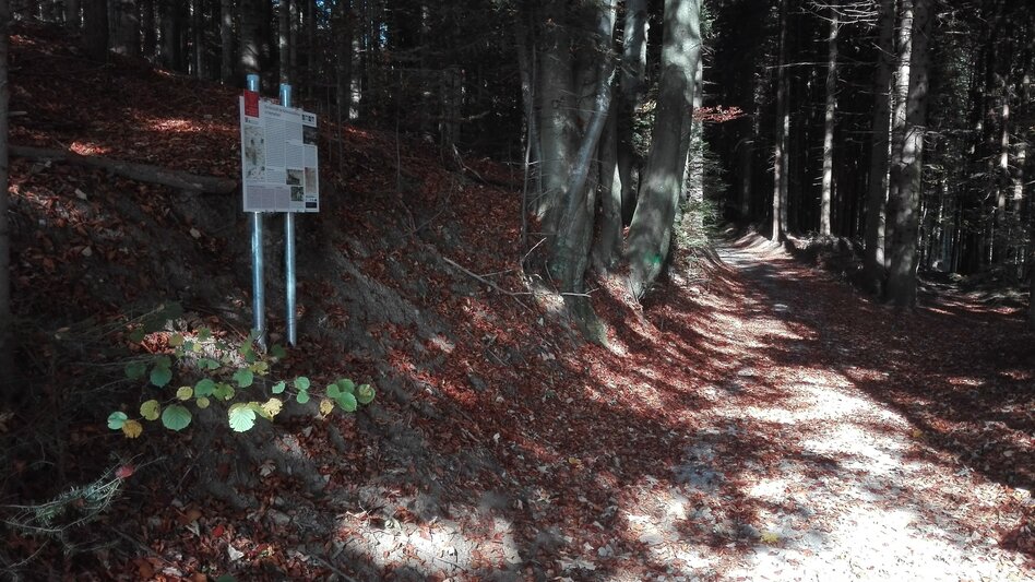 Themed Nature Trail HWW-Hiking route: Mönichkirchen - Spital am Hartberg (circular trail) - Touren-Impression #2.2 | © Historischer Verein Wechselland - Dr. Andreas Salmhofer
