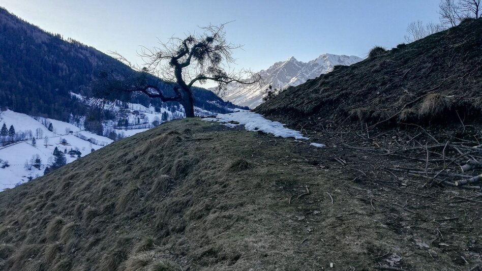 Trailrunning Römerlauf - Touren-Impression #2.2 | © Erlebnisregion Schladming-Dachstein