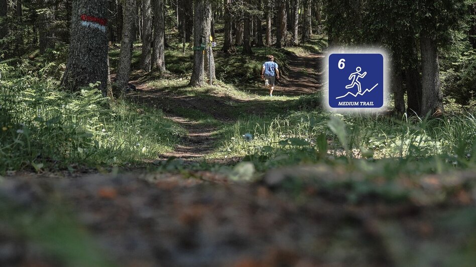 Trail Running Kohlanger Trail - Touren-Impression #2.10 | © Erlebnisregion Schladming-Dachstein