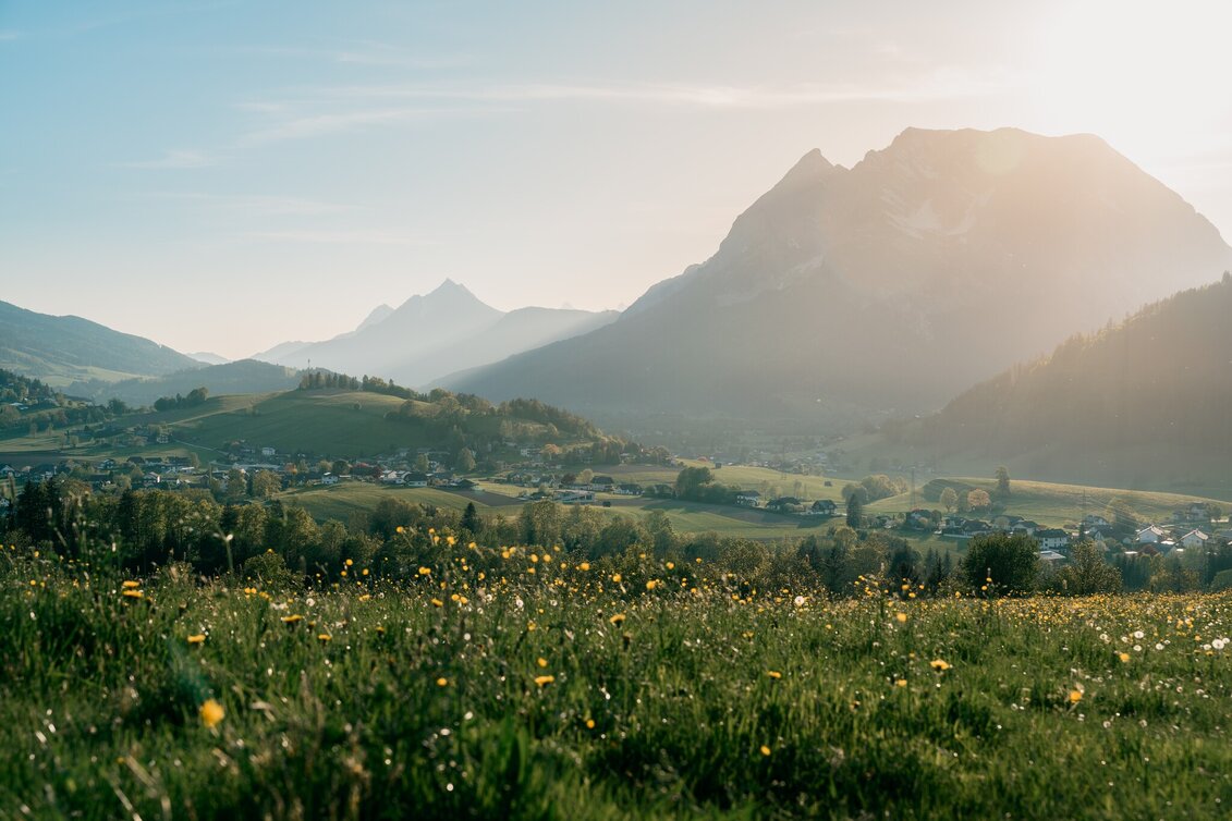 Trail Running Kohlanger Trail - Touren-Impression #1 | © Christoph Lukas