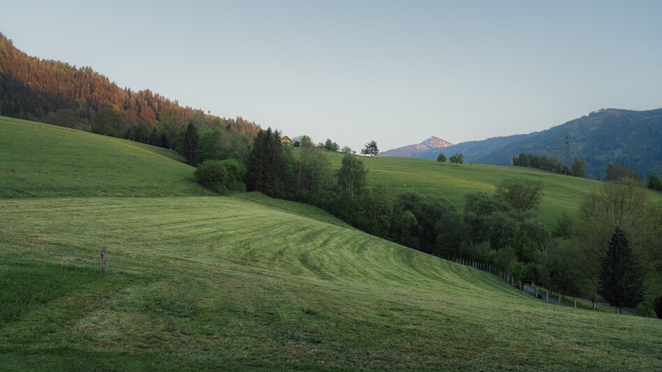 Trail Running Kohlanger Trail - Touren-Impression #2.2 | © Christoph Lukas