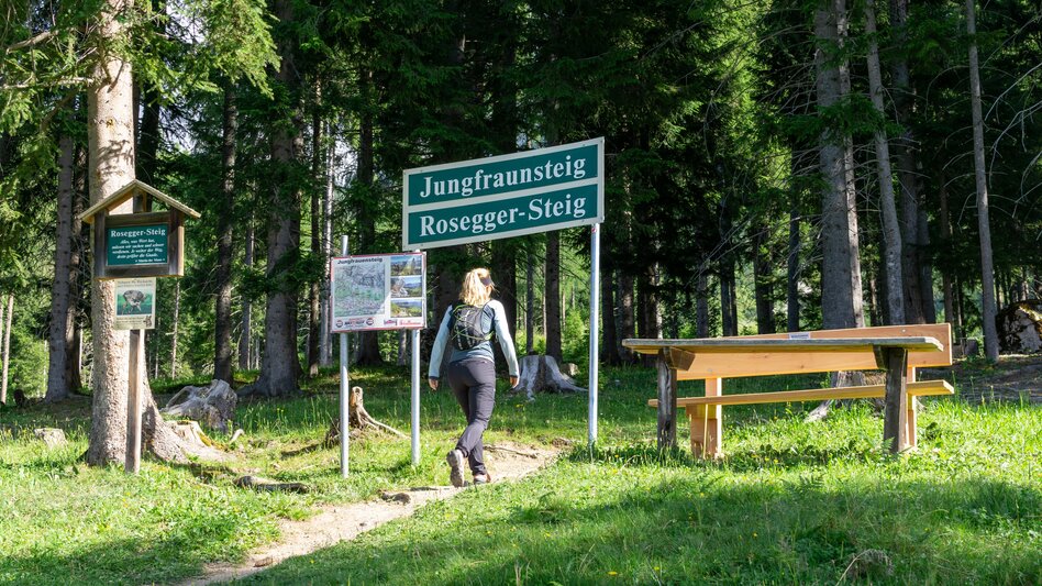Trailrunning Jungfrauen Speedtrail (Nr. 7) - Touren-Impression #2.5 | © Erlebnisregion Schladming-Dachstein