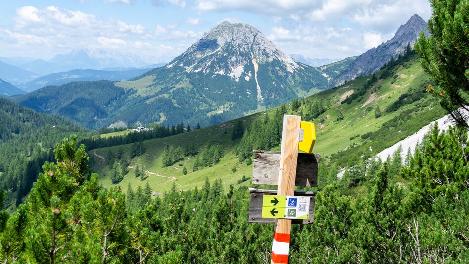 Trailrunning Jungfrauen Speedtrail (Nr. 7) - Touren-Impression #2.10 | © Erlebnisregion Schladming-Dachstein