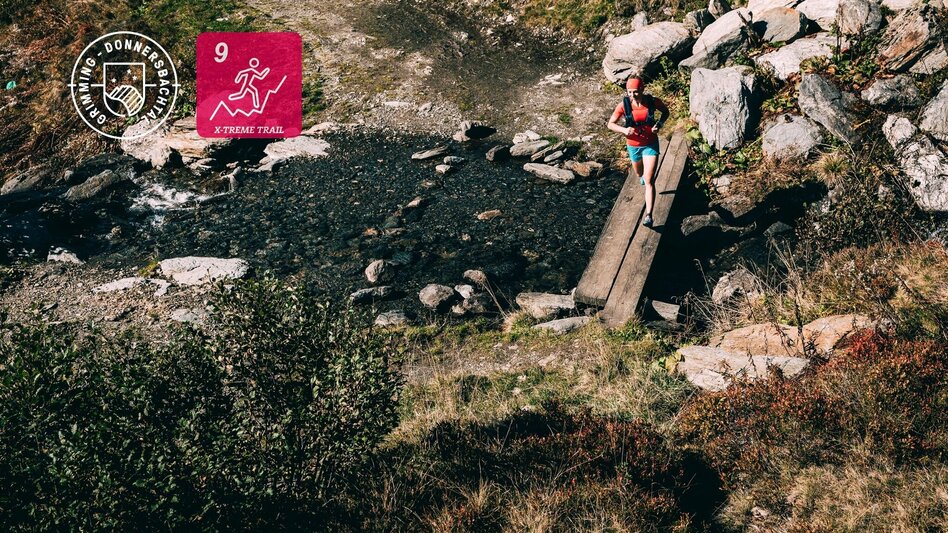 Trail Running Summit Trail Planneralm - Touren-Impression #2.1 | © Armin Walcher