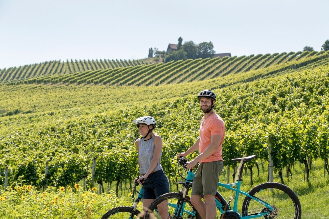 Cycling Weinstraßenausfahrt - Kreuzberg-Saggautal-Remschnigg - Touren-Impression #1 | © TRV Süd- und Weststeiermark