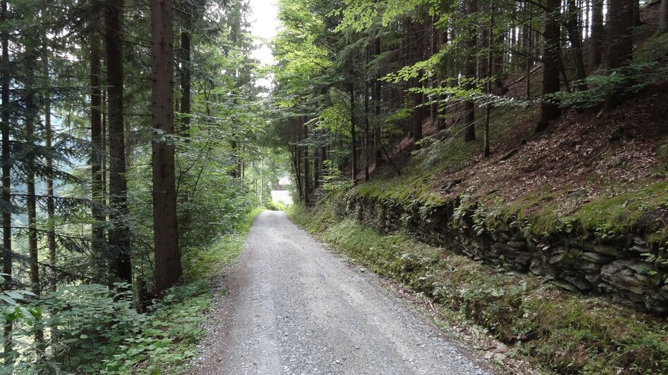 Wanderung Wanderweg  Alte Gasnerstraße, Birkfeld - Touren-Impression #2.2 | © Oststeiermark Tourismus
